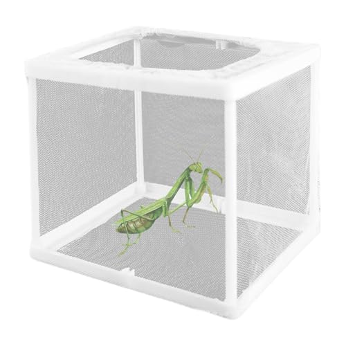 2pcs Beten Mantis Lebensraum 6.3x5.9x5.5 Beten Mantis Egei Inkubator für Tarantulas Spinnen Schnecken Crickets und Ameisen und andere kleine Tiere 2pcs Beten Mantis Lebensraum 6.3x5.9x5.5 Beten Mantis Egei Inkubator für Tarantulas Spinnen Schnecken Crickets und Ameisen und andere kleine Tiere von Jcasbdn