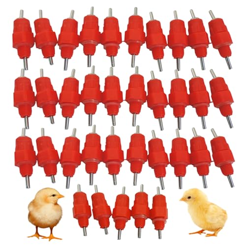 35pcs Hühnerwassernippel Trinker Automatische Hühnerschwester Wasserer Schraubenstil Wasser Trinken für Geflügelhenne Ente 35pcs Hühnerwassernippel Trinker Automatische Hühnerschwester Wasserer Schraubenstil Wasser Trinken für Geflügelhenne Ente von Jcasbdn