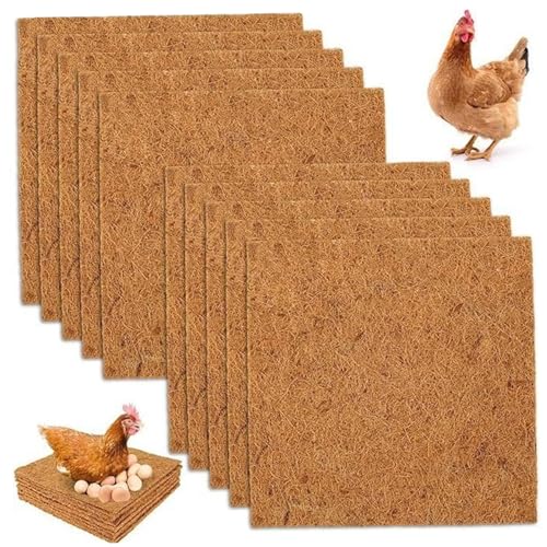Jcasbdn Hühnchen -Nistpads 10pcs 12 Waschabschneider Coir Hähnchen Legebads Ersatz natürliche und komfortable für Chick Coop, Braun, braun Jcasbdn Hühnchen -Nistpads 10pcs 12 Waschabschneider Coir Hähnchen Legebads Ersatz natürliche und komfortable für Chick Coop, Braun, braun von Jcasbdn