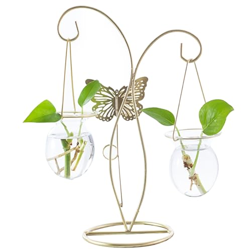 Pflanzenvermehrung Station Wasser Pflanzpflanze Terrarium Elegante Ausbreitungsgläser mit Schmetterling Dekor abnehmbare Ausbreitungstationen für Home Office, Two Flasche von Jcasbdn