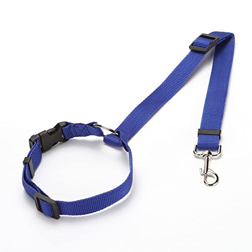 Einfarbig Zwei-in-Eins Haustier Auto Sicherheitsgurt Nylon Leine Rücksitz Sicherheitsgurt Verstellbarer Hundegeschirr Halsband Haustier Zubehör (Farbe: Blau) von Jczw