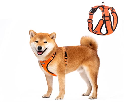 JdotMIN Hundegeschirr für mittelgroße Hunde, kein Ziehen, atmungsaktiv, verstellbar, reflektierend, Hundegeschirr, mittlere Rasse Weste (Orange, L) von JdotMIN