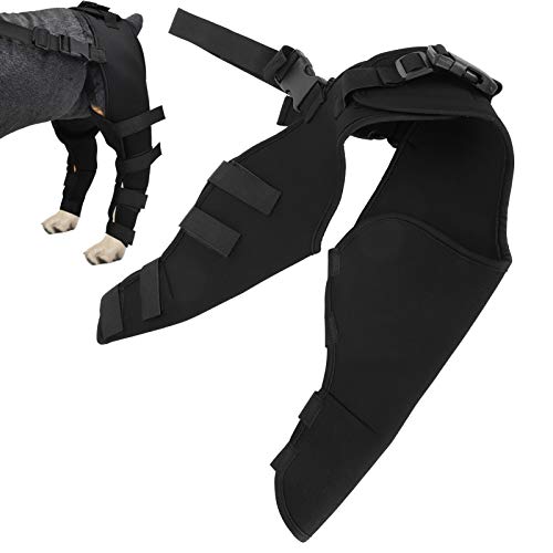 Jeanoko Elastische Hundekniestütze Verstellbare Kniepolster für Haustiere Starke Stabilität Schutz der Hinterbeine für Hunde zur Wiederherstellung von verletzten oder erkrankten Beinen für Hunde(M) von Jeanoko