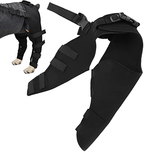 Jeanoko Elastische Hundekniestütze Verstellbare Kniepolster für Haustiere Starke Stabilität Schutz der Hinterbeine für Hunde zur Wiederherstellung von verletzten oder erkrankten Beinen für Hunde(S) von Jeanoko