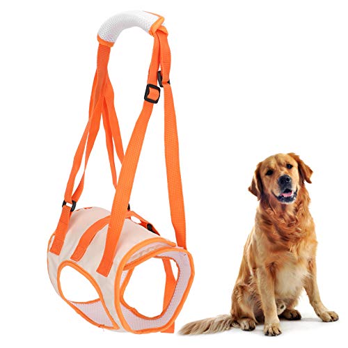 Mesh Pet Dog Lift Harness Hinten Dog Assist Harness Schwache Hinterbeine Dog Assist Harness Dog Assist Harness Für ältere Hunde Produktgesundheitsprodukte von Jeanoko