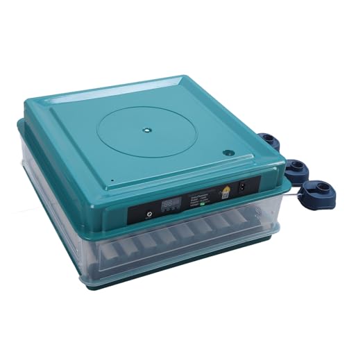 Jectse Intelligenter Inkubator, Automatischer, Grüner, Abnehmbarer Eierinkubator mit Angepasster Dual-Stromversorgung für die Ausbildung von Schülern (EU-Stecker 220 V 64 Eier) von Jectse