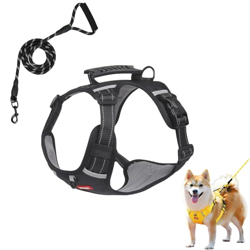 Chewie Cozy Harness, Chewie Dog Harnes, Small Dogs Harness and Leash Set, Adjustable Padded Dog Vest | Breathable & Comfortable | Anti-Breakaway | Reflective at Night (Black) von Jeeeun