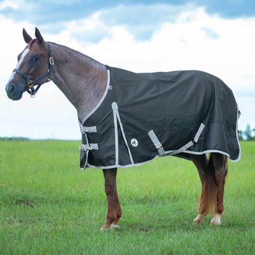 Jeffers Economy Pferdedecke mit Standard-Halsband, 600 Denier, 0 g, Polyfill, 213 cm, wasserdicht, leicht, für Pferde, stabil, Scheune, Weide, Reisen, verstellbare Passform, Schwarzgrau von Jeffers