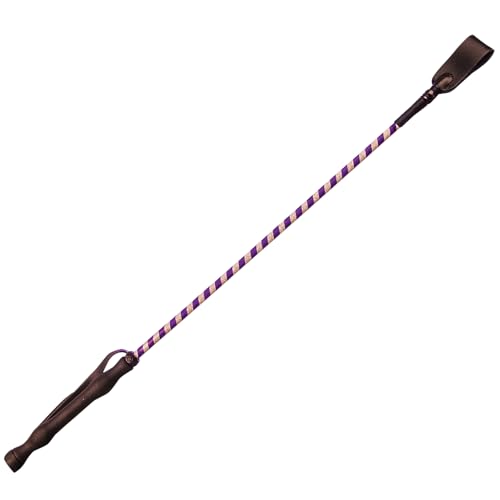 Jeffers Equine Glitter Ribbon Crop Trainingsschläger – 66 cm Reiten Crop Stick mit Gummigriff für Training, Springen, Reiten, Bodenarbeit, Laufrennen, Rodeo, Trail – Lila Jeffers Equine Glitter Ribbon Crop Trainingsschläger – 66 cm Reiten Crop Stick mit Gummigriff für Training, Springen, Reiten, Bodenarbeit, Laufrennen, Rodeo, Trail – Lila von Jeffers