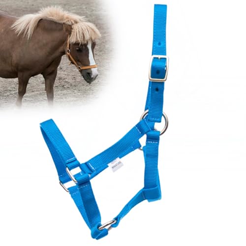 Jeffers Equine Mini-Pferdehalfter, 1,9 cm, Nylon, verstellbar, für Miniaturpferde, Ponys, unter 90 kg – robuste Hardware, sichere Passform für Training, Turnout, Fellpflege, Reisen – Türkis Jeffers Equine Mini-Pferdehalfter, 1,9 cm, Nylon, verstellbar, für Miniaturpferde, Ponys, unter 90 kg – robuste Hardware, sichere Passform für Training, Turnout, Fellpflege, Reisen – Türkis von Jeffers