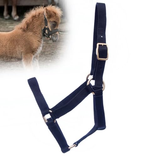Jeffers Equine Mini-Pferdehalfter – 1,9 cm Nylon verstellbares Halfter für Miniaturpferde, Ponys, unter 90 kg – robuste Hardware, sichere Passform für Training, Turnout, Fellpflege, Reisen – Schwarz Jeffers Equine Mini-Pferdehalfter – 1,9 cm Nylon verstellbares Halfter für Miniaturpferde, Ponys, unter 90 kg – robuste Hardware, sichere Passform für Training, Turnout, Fellpflege, Reisen – Schwarz von Jeffers