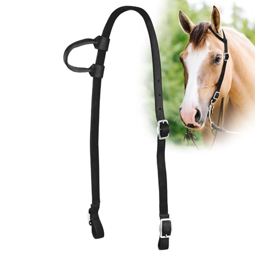 Jeffers Equine Nylon One Ear Horse Halfter - 3-lagig ¾ Western Adjustable Tack, Nickel Plated Hardware for Riding, Training, Barrel - Equestrian Accessories & Apparel for Horses - Black von Jeffers