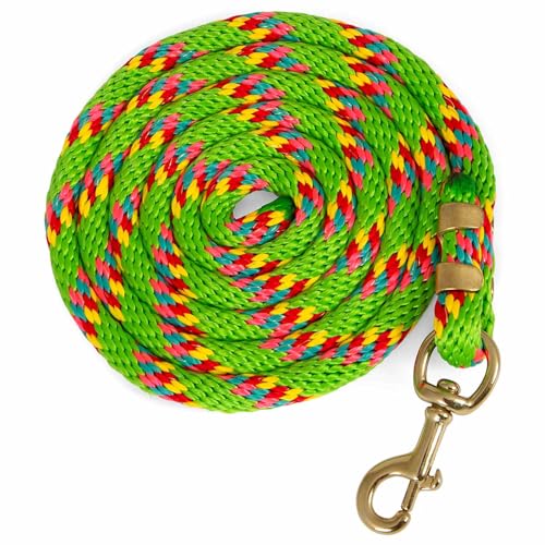 Jeffers Equine Nylon-Pferdeführungsseil, 1,6 cm x 2,4 m, Hellgrün – strapazierfähiges, langlebiges Nylonseil mit Bolzenverschluss, rostbeständige Messingbeschläge für Pferde – Training, Pflege und Jeffers Equine Nylon-Pferdeführungsseil, 1,6 cm x 2,4 m, Hellgrün – strapazierfähiges, langlebiges Nylonseil mit Bolzenverschluss, rostbeständige Messingbeschläge für Pferde – Training, Pflege und von Jeffers