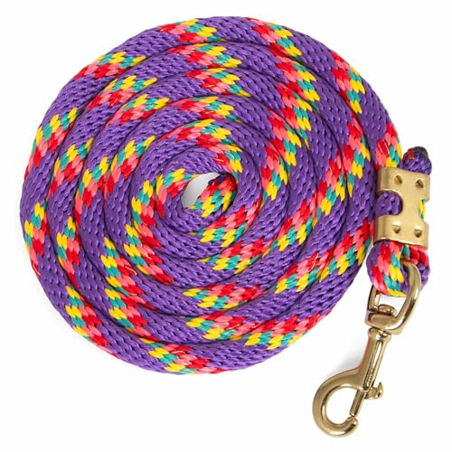 Jeffers Equine Nylon-Pferdeführungsseil, 1,6 cm x 2,4 m, Violett – strapazierfähiges, langlebiges Nylonseil mit Bolzenverschluss, rostbeständige Messingbeschläge für Pferde – Training, Pflege und Jeffers Equine Nylon-Pferdeführungsseil, 1,6 cm x 2,4 m, Violett – strapazierfähiges, langlebiges Nylonseil mit Bolzenverschluss, rostbeständige Messingbeschläge für Pferde – Training, Pflege und von Jeffers