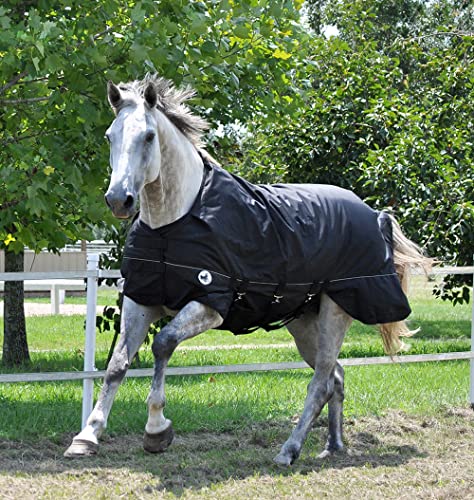 Jeffers Equine Supreme Plus Pferdedecke, schwarz, 167,6 cm, mittelschwer, 1680D wasserdicht, 240 g Isolierung, sicher, atmungsaktiv, Wetterschutz, verstellbare Gurtbänder, reflektierender Rand von Jeffers