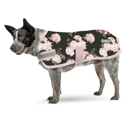 Jeffers Expression Hunde-Fleece-Teppich, weich, gemütlich, mit reflektierenden Streifen, leichter Mantel, perfekt für kleine bis große Rassen, warmer Welpenpullover, waschbar, 81,3 cm Jeffers Expression Hunde-Fleece-Teppich, weich, gemütlich, mit reflektierenden Streifen, leichter Mantel, perfekt für kleine bis große Rassen, warmer Welpenpullover, waschbar, 81,3 cm von Jeffers