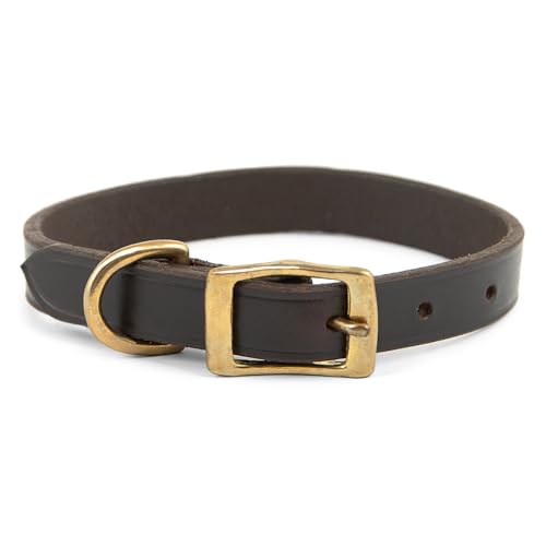 Jeffers Flaches Hundehalsband, echtes Leder mit Messingbeschlägen, verstellbar, langlebig, bequeme Passform für kleine bis große Hunde, Trainings- und Spazierengehen, Kastanienfarben, 2,5 x 48,3 cm von Jeffers