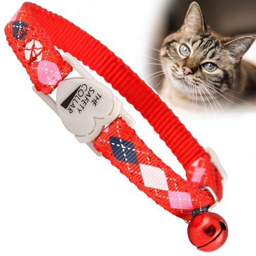 Jeffers Haustier-Katzenhalsband mit Glöckchen – strapazierfähiges Sicherheitshalsband aus Kunststoff für Kätzchen & ausgewachsene Katzen, verstellbares einlagiges Nylon, für drinnen und draußen von Jeffers