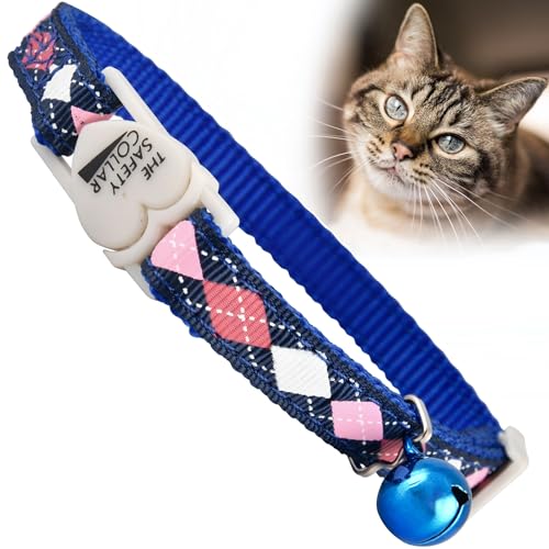 Jeffers Haustier-Katzenhalsband mit Glöckchen – strapazierfähiges Sicherheitshalsband aus Kunststoff für Kätzchen & ausgewachsene Katzen, verstellbares einlagiges Nylon, für drinnen und draußen von Jeffers
