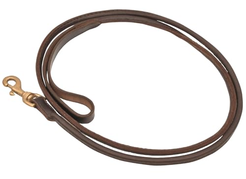 Jeffers Hundeleine aus gerolltem Leder mit Messingbeschlägen, Kastanienbraun mit Handschlaufe, strapazierfähige Hundeleine für mittelgroße und große Hunde, Spaziergänge und Training im Freien, 2,5 cm von Jeffers