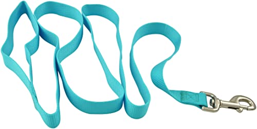 Jeffers Hundeleine für Haustiere, 1,6 cm B x 1,2 m L, robuste Nylonleine für kleine, mittelgroße und große Hunde, Trainingsleine für Haustiere, langlebiger Sicherheitsgurt für Outdoor, Innenbereich von Jeffers