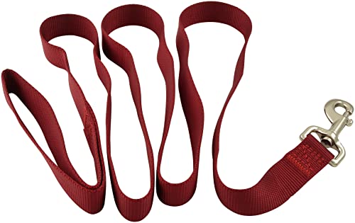 Jeffers Hundeleine für Haustiere, 1,8 m, robuste Nylonleine für kleine, mittelgroße und große Hunde, Trainingsleine für Haustiere, langlebiger Sicherheitsgurt für Outdoor, Indoor, Kiste, Zwinger von Jeffers