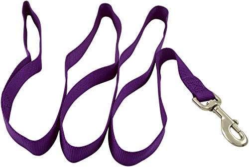 Jeffers Hundeleine für Haustiere, 1,8 m – robuste Nylonleine für kleine, mittelgroße und große Hunde, Trainingsleine für Haustiere, langlebiger Sicherheitsgurt für Outdoor, Indoor, Kiste, Zwinger von Jeffers