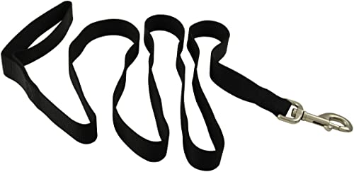 Jeffers Hundeleine für Haustiere, 2,5 cm x 1,2 m, robuste Nylonleine für kleine, mittelgroße und große Hunde, Trainingsleine für Haustiere, langlebiger Sicherheitsgurt für Outdoor, Innenbereich, Kiste von Jeffers