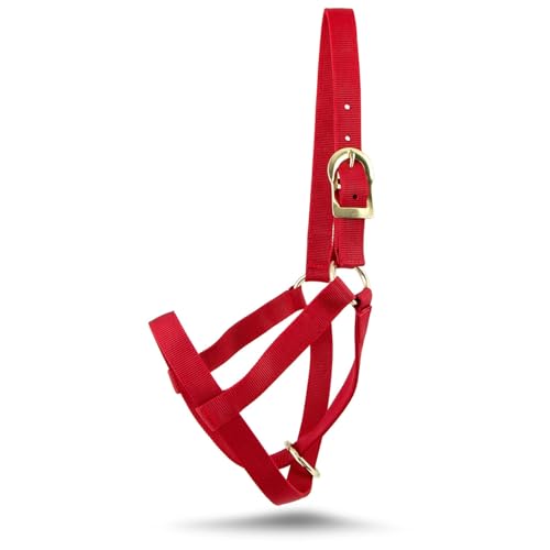 Jeffers Livestock Premium Nylon Wadenhalfter (113.4-204.1 kg) - Strapazierfähiger 2-lagiger 2,5 cm verstellbarer Wadenhalter für Kälber, langlebiges Bauernhof- und Ranch-Zubehör für Viehhandhabung von Jeffers