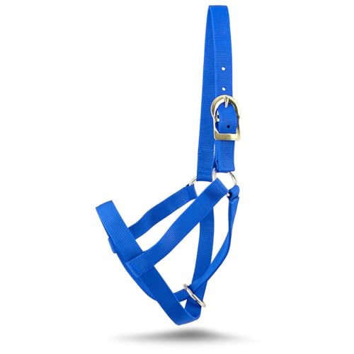 Jeffers Livestock Premium Nylon Wadenhalfter (113.4-204.1 kg) - Strapazierfähiger 2-lagiger 2,5 cm verstellbarer Wadenhalter für Kälber, langlebiges Bauernhof- und Ranch-Zubehör für Viehhandhabung von Jeffers