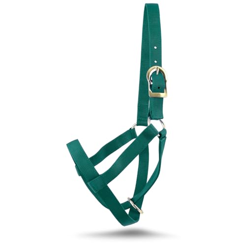 Jeffers Livestock Premium Nylon Wadenhalfter (113.4-204.1 kg) - Strapazierfähiger 2-lagiger 2,5 cm verstellbarer Wadenhalter für Kälber, langlebiges Bauernhof- und Ranch-Zubehör für Viehhandhabung von Jeffers