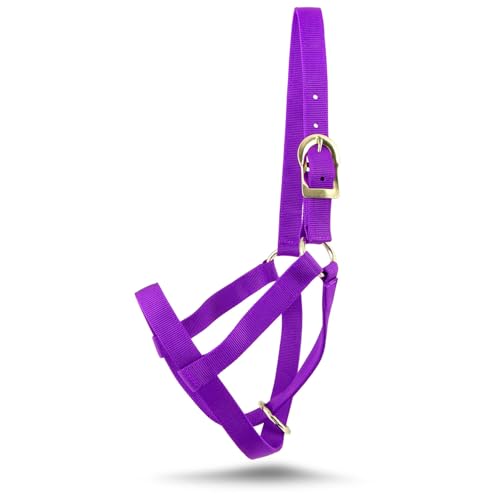 Jeffers Livestock Premium Nylon Wadenhalfter (113.4-204.1 kg) - Strapazierfähiger 2-lagiger 2,5 cm verstellbarer Wadenhalter für Kälber, langlebiges Bauernhof- und Ranch-Zubehör für Viehhandhabung von Jeffers