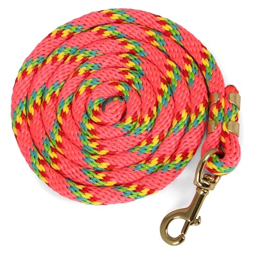 Jeffers Nylon-Führungsseil, Premium-Qualität, langlebig konstruiert, für sanfte Handhabung, zuverlässige Kontrolle beim Pferdetraining und -handhabung, Rosa, 20,3 cm Jeffers Nylon-Führungsseil, Premium-Qualität, langlebig konstruiert, für sanfte Handhabung, zuverlässige Kontrolle beim Pferdetraining und -handhabung, Rosa, 20,3 cm von Jeffers