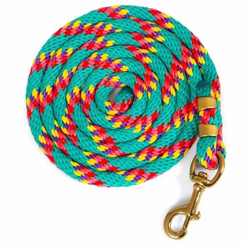Jeffers Nylon-Führungsseil, Premium-Qualität, langlebig konstruiert, für sanfte Handhabung, zuverlässige Kontrolle beim Pferdetraining und -handhabung, Türkis, 20,3 cm Jeffers Nylon-Führungsseil, Premium-Qualität, langlebig konstruiert, für sanfte Handhabung, zuverlässige Kontrolle beim Pferdetraining und -handhabung, Türkis, 20,3 cm von Jeffers