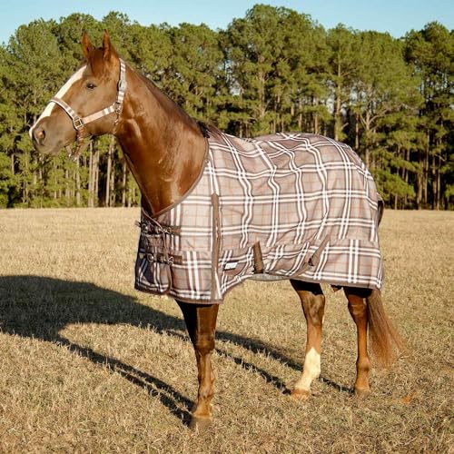 Jeffers Pappel Head Refuge Weidedecke, 1200 Denier, 240 g, Plymouth Brown Plaid, 167,6 cm von Jeffers