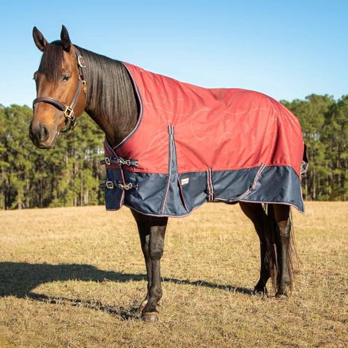 Jeffers Pappelkopf einzigartige englische Weidedecke mit hohem Hals, 1200 Denier, 240 g, Merlot Trensen und Eisen, 167,6 cm Jeffers Pappelkopf einzigartige englische Weidedecke mit hohem Hals, 1200 Denier, 240 g, Merlot Trensen und Eisen, 167,6 cm von Jeffers