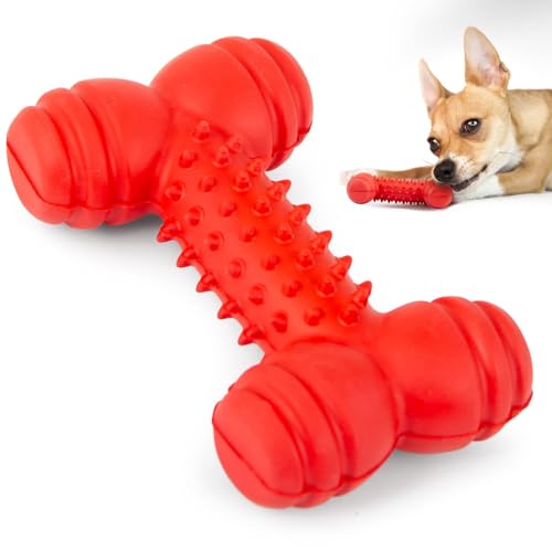 Jeffers Pet Kauspielzeug für Hunde aus Naturkautschuk, roter Knochen mit Zahnzähnen, klein, Vanilleduft, langlebig, ungiftig, spülmaschinenfest, interaktives Apportier- und Zerrspielzeug – perfekt für von Jeffers