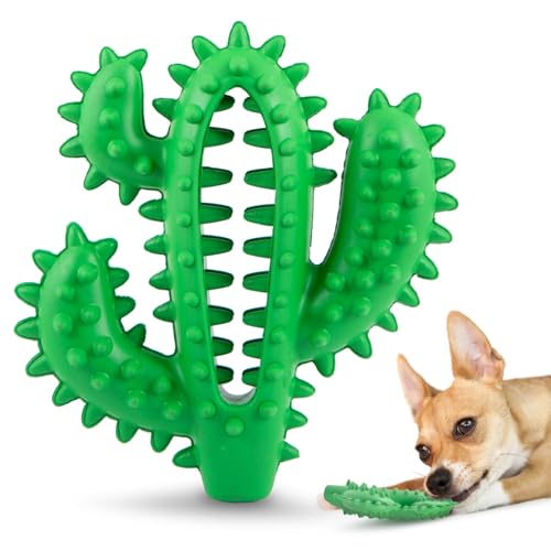 Jeffers Pet Kauspielzeug für Hunde aus Naturkautschuk – Grüner Zahnkaktus, mittelgroß, Vanilleduft, langlebig, ungiftig, spülmaschinenfest, interaktives Apportieren, Zerrspielzeug & Zahnspiel von Jeffers