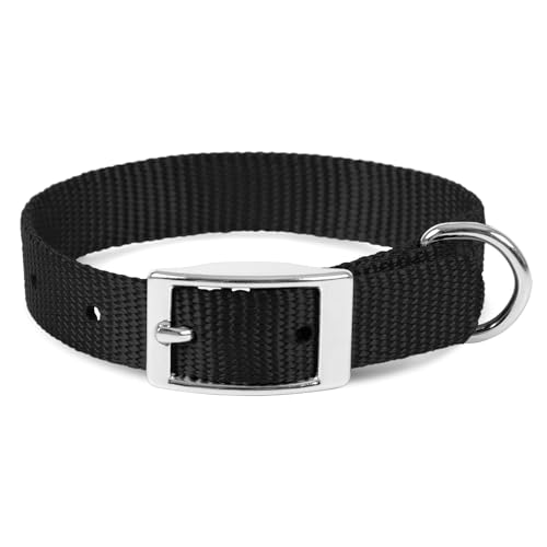 Jeffers Pet Solid Nylon Hundehalsband, schwarz, 1,6 cm B x 35,6 cm L – verstellbar, langlebig und sicher für Hunde, leichtes und doppellagiges Design, stilvolles Haustierzubehör – perfekt für Training von Jeffers