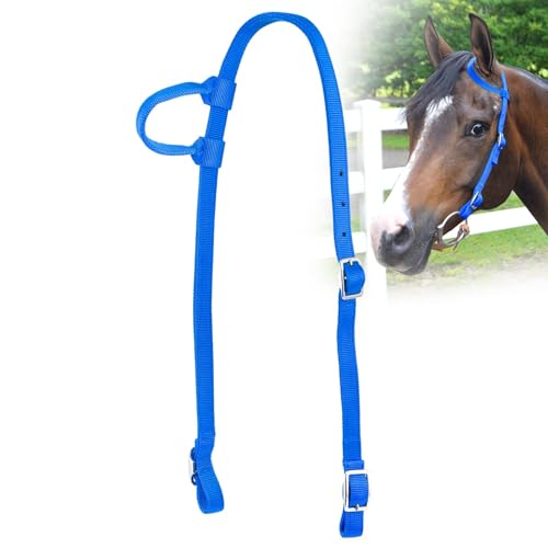 Jeffers Pferdehalfter aus Nylon, einohrig, 3-lagig, 3-lagig, 3-lagig, verstellbar, vernickelte Hardware für Reiten, Training, Fass – Reitzubehör und Bekleidung für Pferde – Königsblau Jeffers Pferdehalfter aus Nylon, einohrig, 3-lagig, 3-lagig, 3-lagig, verstellbar, vernickelte Hardware für Reiten, Training, Fass – Reitzubehör und Bekleidung für Pferde – Königsblau von Jeffers
