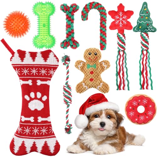 JellyArch Weihnachts-Hundespielzeug, Weihnachtsstrumpf mit Seilspielzeug und Ball, quietschendes Plüschspielzeug, Kauspielzeug zum Zahnen, Geschenk für Welpen, kleine, mittelgroße Hunde, 10 Stück JellyArch Weihnachts-Hundespielzeug, Weihnachtsstrumpf mit Seilspielzeug und Ball, quietschendes Plüschspielzeug, Kauspielzeug zum Zahnen, Geschenk für Welpen, kleine, mittelgroße Hunde, 10 Stück von JellyArch