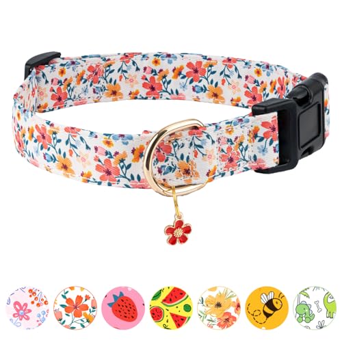 Jelwuion Hundehalsband, personalisierbar, niedlich, für Mädchen, Hündinnen, Jungen, mit Blumenmuster, weiches Haustierhalsband mit sicherer Schnalle für kleine, mittelgroße und große Hunde (rote Jelwuion Hundehalsband, personalisierbar, niedlich, für Mädchen, Hündinnen, Jungen, mit Blumenmuster, weiches Haustierhalsband mit sicherer Schnalle für kleine, mittelgroße und große Hunde (rote von Jelwuion