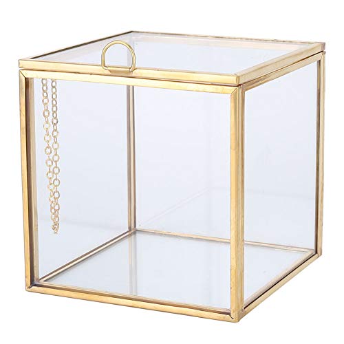 Jenngaoo Geometrisches Terrarium Klein, Geometrisches Mini Terrarium aus Glas Würfel Pflanzenpflanzer aus Goldrand Blumentopf aus Sukkulenten Miniatur Gartencontainer von Jenngaoo