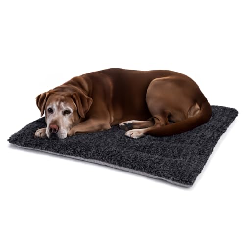 Britisches Hundebett aus Wolle, maschinenwaschbar, gesteppt, Käfigunterlage mit Tweed-Basis, luxuriöses großes Hundebett (106 x 71 cm), hergestellt in England von Jenny Wren