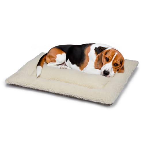 Britisches Hundebett aus Wolle, maschinenwaschbar, gesteppt, Käfigunterlage mit Tweed-Basis, luxuriöses kleines Hundebett (76 x 50 cm), hergestellt in England von Jenny Wren