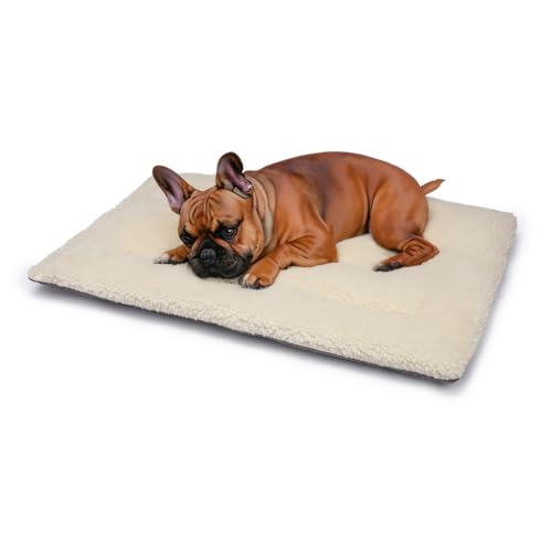 Britisches Hundebett aus Wolle, maschinenwaschbar, gesteppt, Käfigunterlage mit Tweed-Basis, luxuriöses kleines Hundebett (76 x 50 cm), hergestellt in England von Jenny Wren