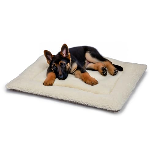 Britisches Hundebett aus Wolle, maschinenwaschbar, gesteppt, Käfigunterlage mit Tweed-Basis, luxuriöses mittelgroßes Hundebett (91 x 60 cm), hergestellt in England von Jenny Wren