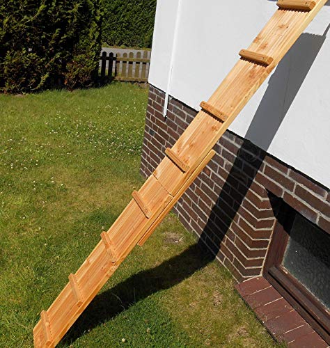 Jennys Tiershop 3 Meter! Katzenleiter/Katzentreppe mit 2 Verbindungsstücken für Balkon, Mit Klemmhalterung. extra 21 cm Breit! Douglasie (e) von Jennys Tiershop