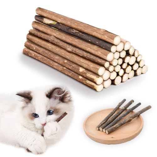 30 Stück Natürlicher Katzensnack aus Matataki-Holz Zahnpflege-Stick mit Minzaroma für Katzen Kauspielzeug gegen Zahnstein & zur Zahnreinigung Biologisches Kausnack für ausgewachsene Katzen & Kitten 30 Stück Natürlicher Katzensnack aus Matataki-Holz Zahnpflege-Stick mit Minzaroma für Katzen Kauspielzeug gegen Zahnstein & zur Zahnreinigung Biologisches Kausnack für ausgewachsene Katzen & Kitten von Jennytim