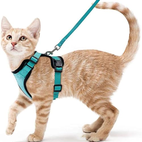 Katzen Geschirr atmungsaktiv - Reflektierendes Katzenhalsband mit Leine, Anti-Ausbruch Sicherheitsgurt für kleine Katzen und Hunde, Haustier Tragegurt für Spaziergang, Klettern, Outdoor (Blau, XS) von Jennytim